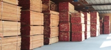 Gỗ Sồi Xẻ Âu, Mỹ